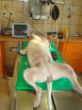 DSC06766.JPG