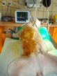DSC06767.JPG