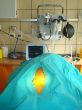 DSC06770.JPG
