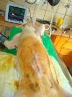DSC06793.JPG