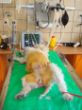 DSC08425.JPG