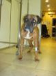 DSC08459.JPG