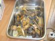 DSC02663.JPG
