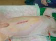 DSC02691.JPG