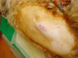 DSC08744.JPG