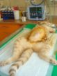 DSC08745.JPG