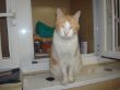 DSC06058.JPG