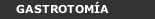 GASTROTOMÍA
